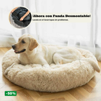 Pack Cama PetClub™️ + Funda GRATIS