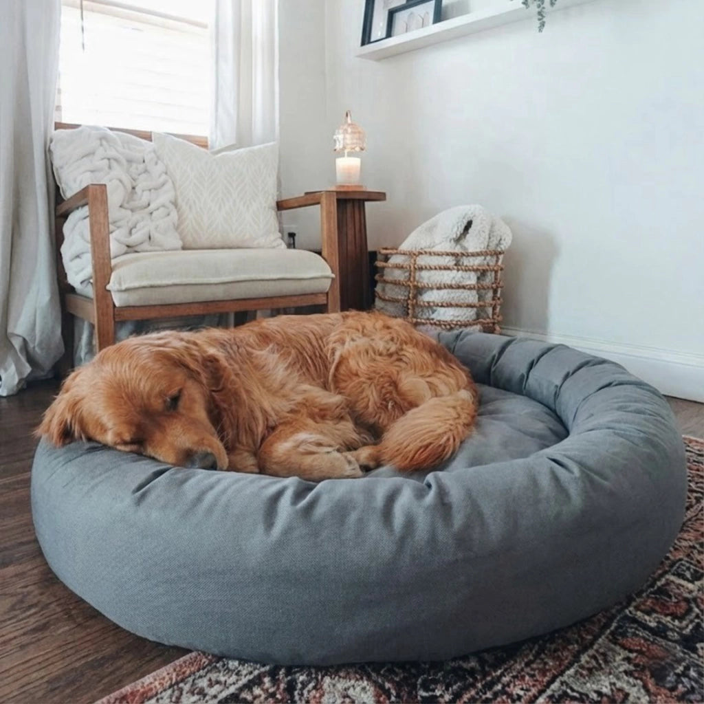 Cama PetClub™️ Fresh Version Funda Desmontable