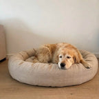 Cama PetClub™️ Lino Desmontable