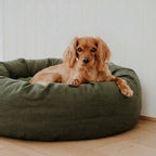 Cama PetClub™️ Lino Desmontable