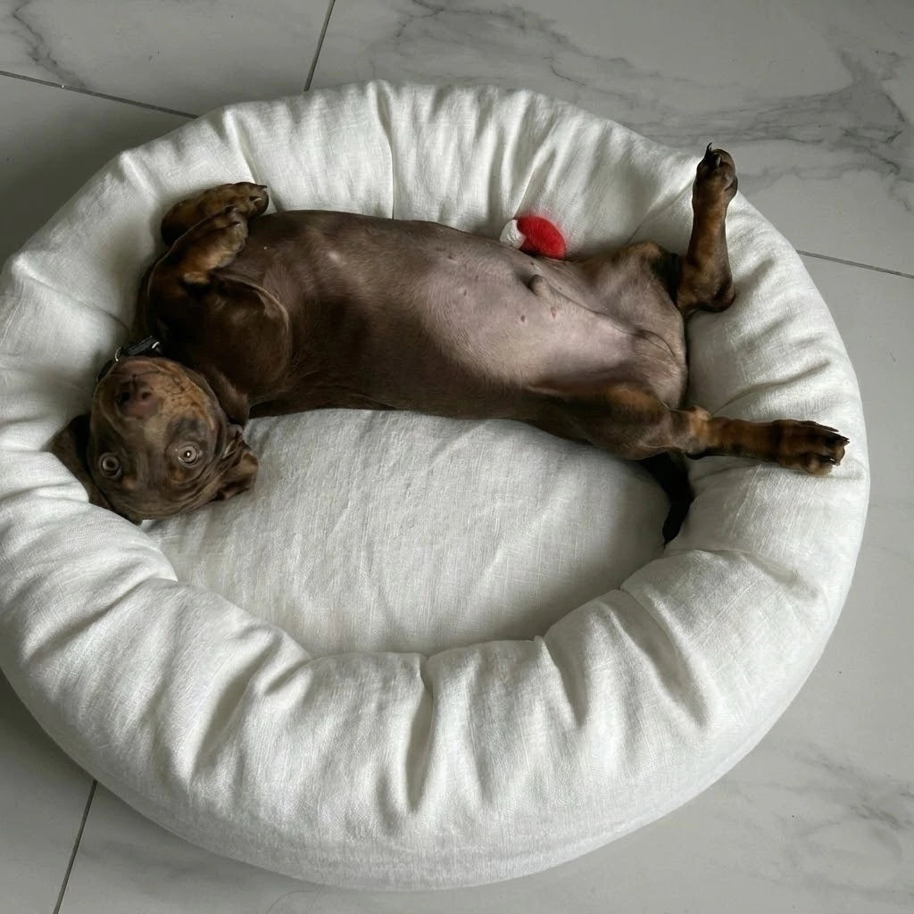 Cama PetClub™️ Lino Desmontable