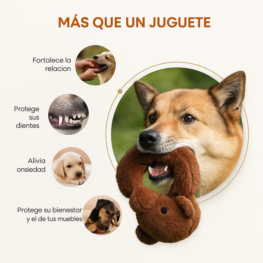 Pack de Calma Sin Relleno