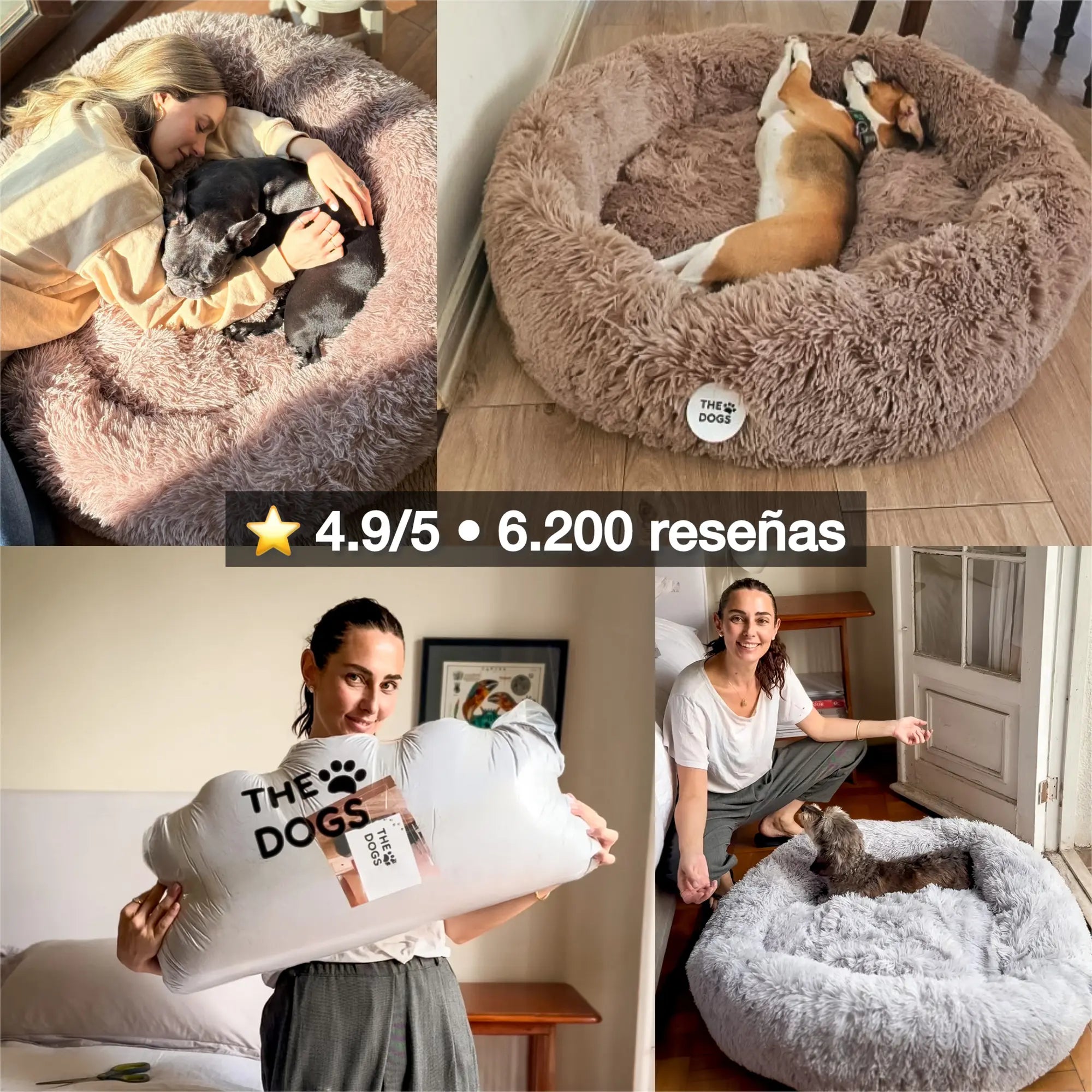 Cama Anti-Estrés  — Menos ansiedad, más descanso