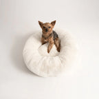 Cama PetClub™️ Soft Version Desmontable
