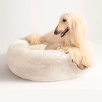 Cama PetClub™️ Soft Version Desmontable