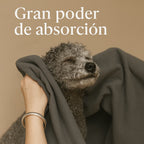 Toalla de microfibra — Adiós olor a perro mojado