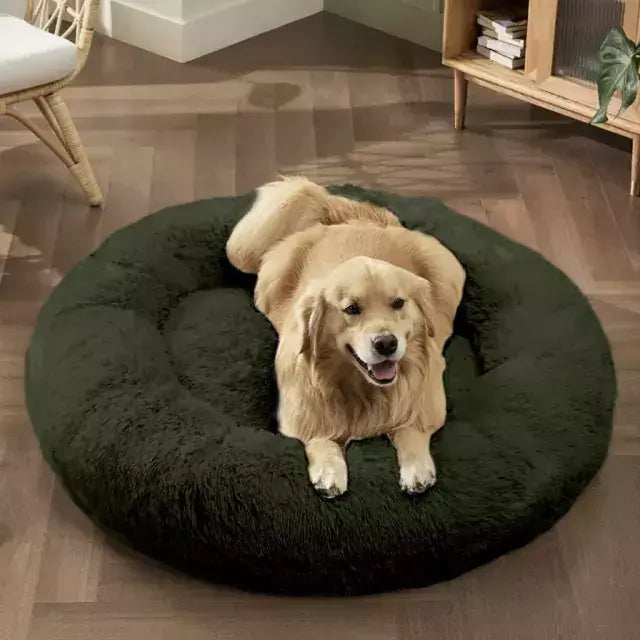 Cama PetClub™️ Super rellena