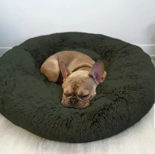 Cama PetClub™️ Super rellena