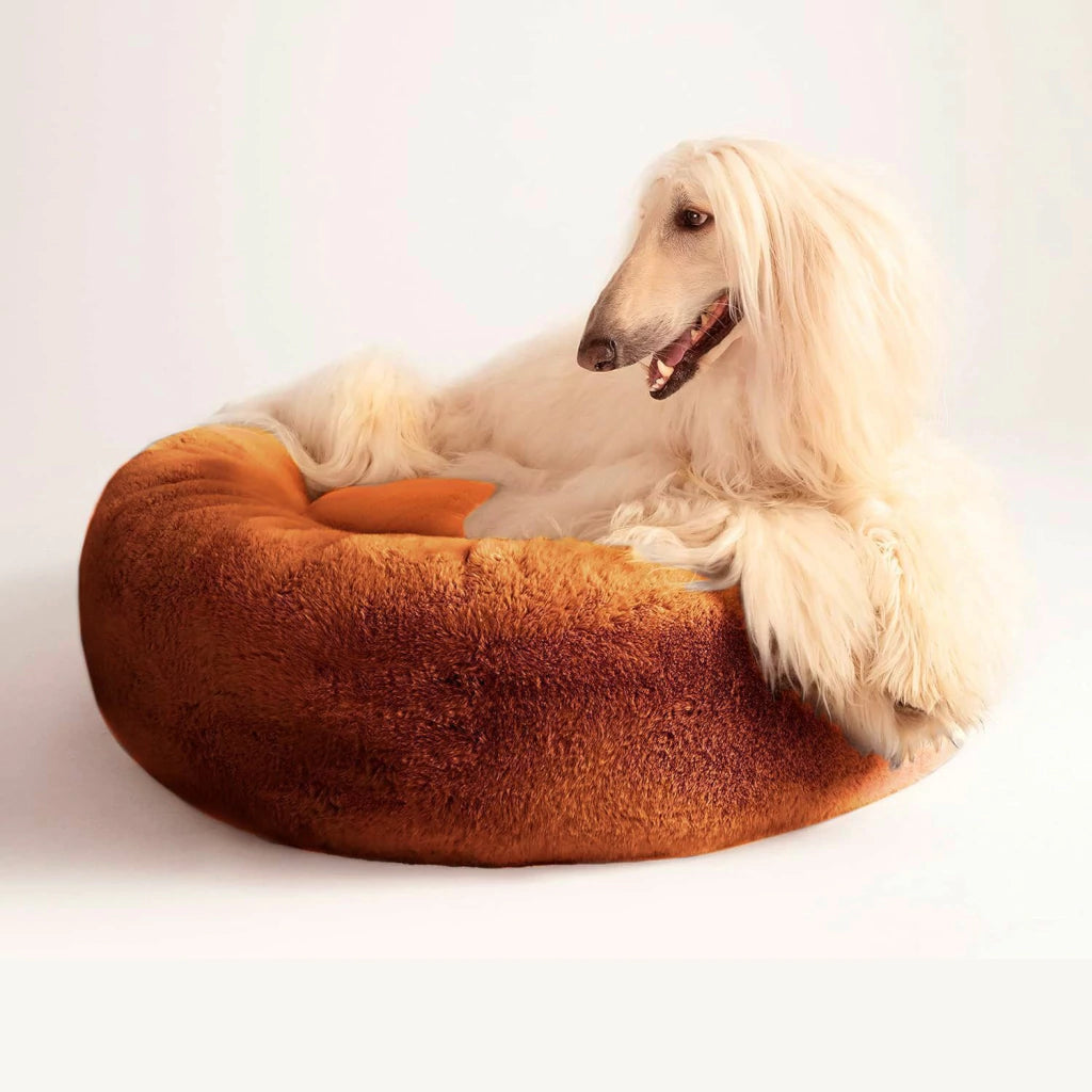 Cama PetClub™️ Soft Version Desmontable