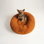 Cama PetClub™️ Soft Version Desmontable