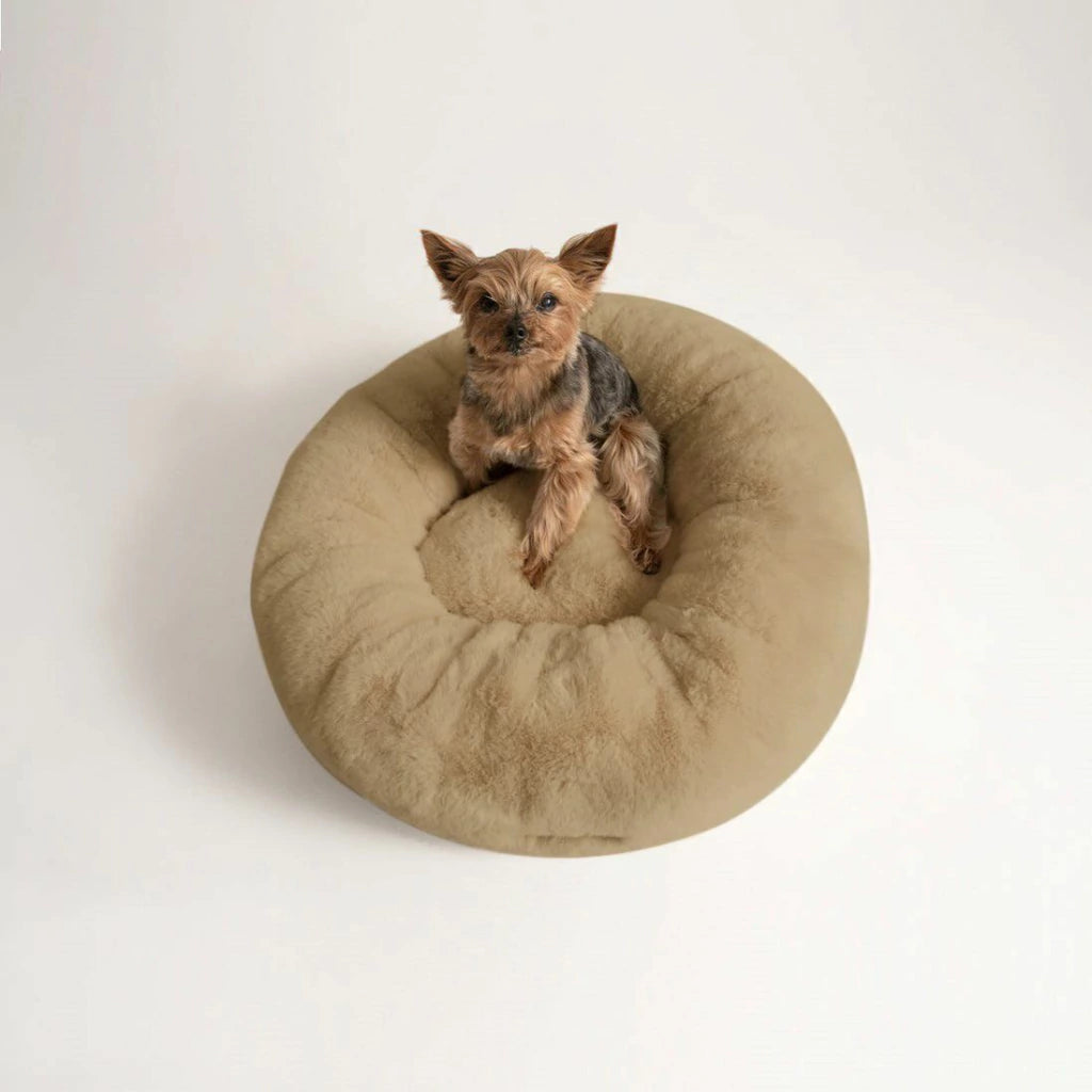 Cama PetClub™️ Soft Version Desmontable