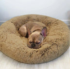 Cama PetClub™️ Super rellena