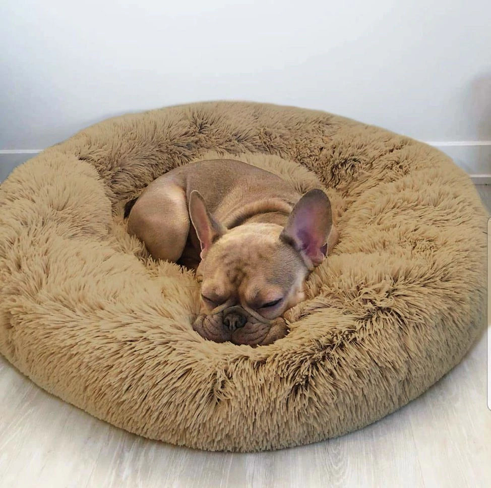 Cama PetClub™️ Super rellena