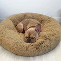 Pack Cama PetClub™️ + Funda GRATIS