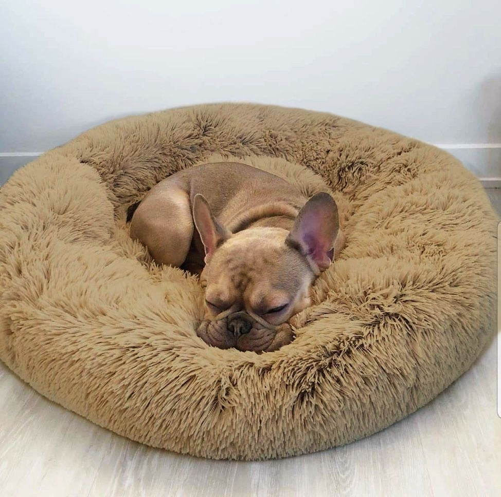 Pack Cama PetClub™️ + Funda GRATIS