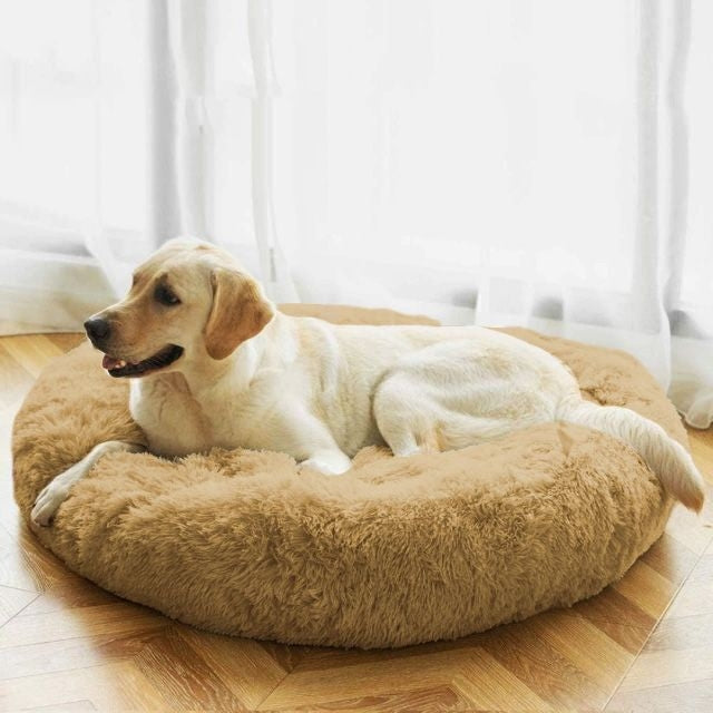 Cama PetClub™️ Super Rellena Funda Desmontable
